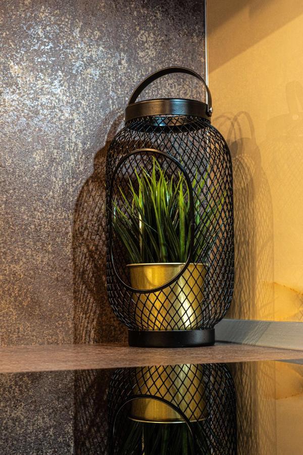Apartment Alios Lux ブラショフ エクステリア 写真