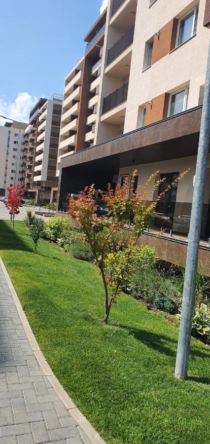 Apartment Alios Lux ブラショフ エクステリア 写真